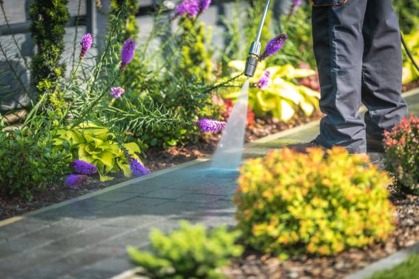 Best Sidewalk and Walkway Cleaning  in Kingston, TN
